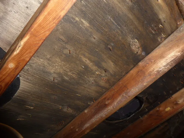 Extensive mold damage